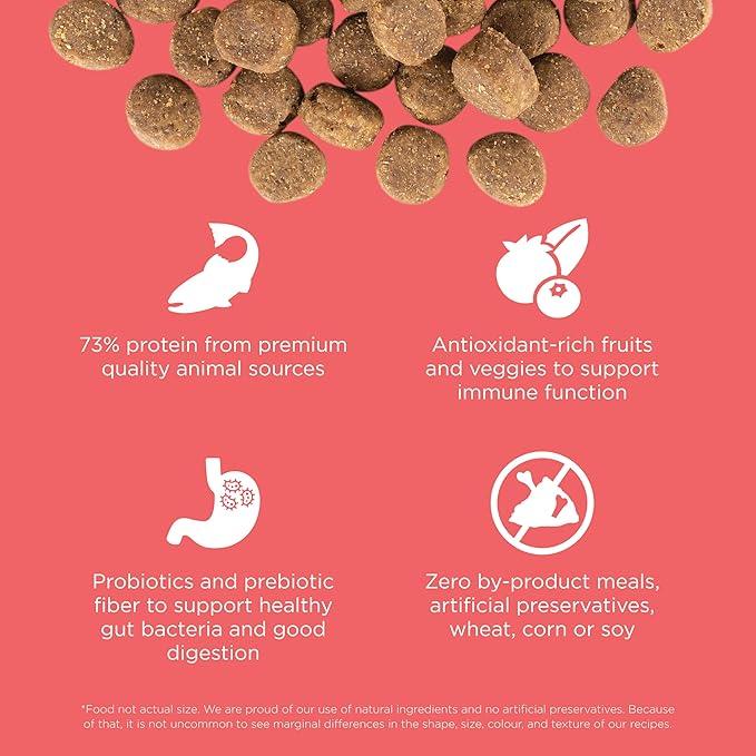 Go! Solutions Carnivore, Grain-Free, Protein Rich Dry Dog Food, Salmon and Cod Recipe, 3.5 lb Bag