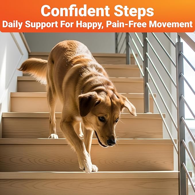 Hip and Joint Supplement for Dogs – Natural Ingredients with Chondroitin, MSM, Turmeric, and Glucosamine – Supports Hip Dysplasia, Arthritis, and Mobility – 140 Count, Made in USA