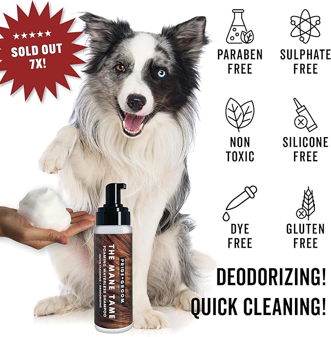 Pride and Groom The MITT KIT: A Waterless Bath for Dogs - Foaming Dry Shampoo and a Pet Sensitive Glove for a Rinse Free Cleanse and to Eliminate Odor