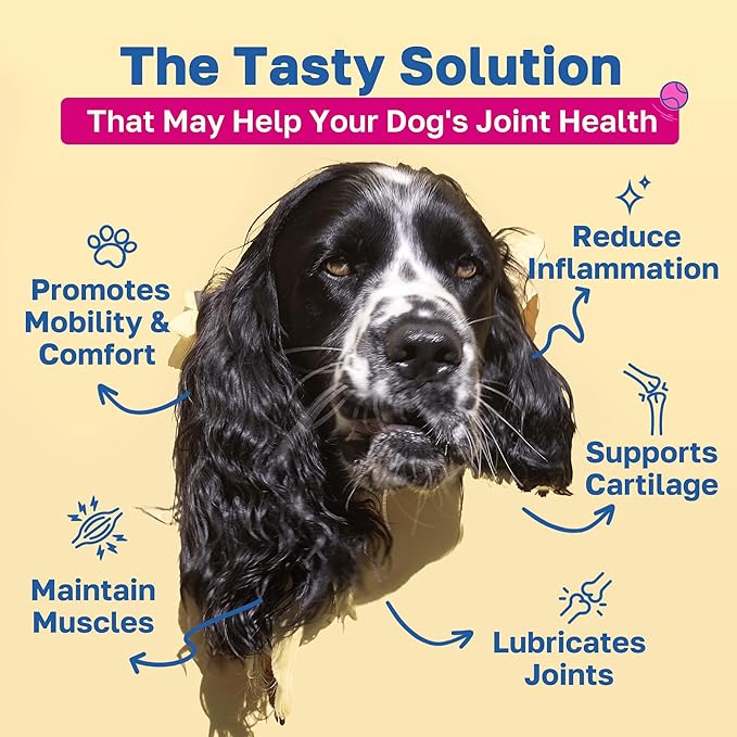 Happy Paws Mobility Hip & Joint Health Support for Dogs, Soft Chews with Glucosamine, Chondroitin, Msm, Green Lipped Mussel, Turmeric & Hyaluronic Acid, Organic, Bacon Flavor, 100 Count