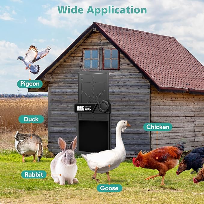 Large Automatic Chicken Coop Door, Aluminum Automatic Chicken Door with Manual & Timer Mode, Anti-Pinch & Battery Powered, LCD Display Chicken Door for Chickens, Ducks, and Geese