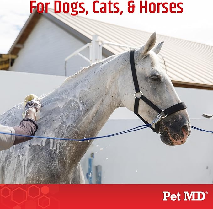 Pet MD Topical Shampoo for Dogs, Cats and Horses - Soap and Paraben Free - 16oz
