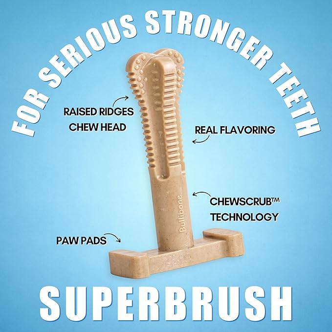 Bullibone SuperBrush: Dog Teeth Cleaning Brushing Toothbrush Stick - Long Lasting Nylon Apple Cinnamon Chew Toy for Oral Care and Dental Health