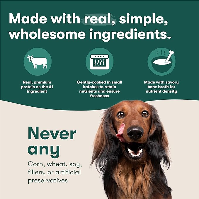 Jinx Beef Grain Free Wet Dog Food Pouches, Meal or Dog Food Topper Mix-in, Made with Real Beef & Chicken, Bone Broth & Brown Rice, No Fillers, Puppy, Adult, Senior, 9oz, 6 Pack