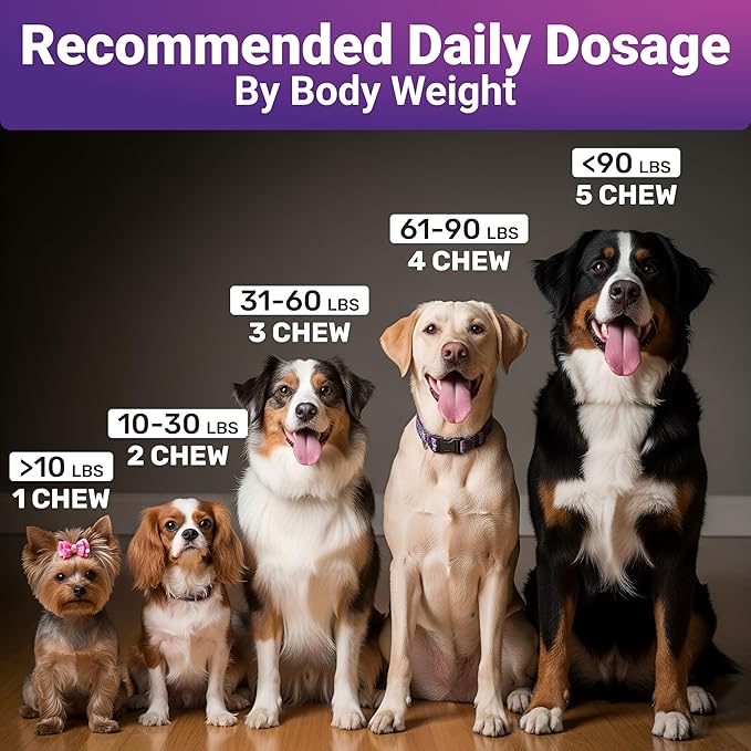 Calming Chews for Dogs Relaxation & Hyperactivity – Chamomile, Passion Flower, Valerian Root & Tryptophan Infused Calming Bites for Dog Anxiety Relief – Made in USA – 140 Count