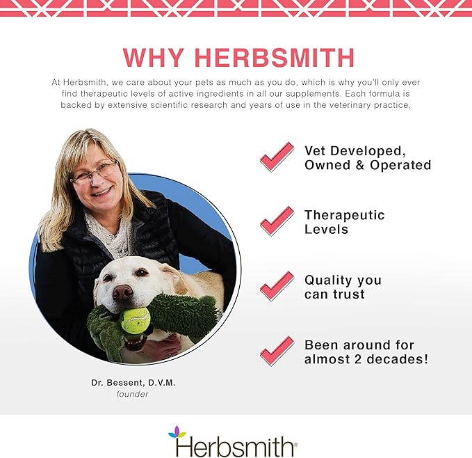 Herbsmith Taurine Boost - Cardiac and Heart Support for Dogs and Cats - Taurine Supplement for Dog and Cat Heart Health – with CoQ10, Taurine and L-Carnitine for Dogs - 75g