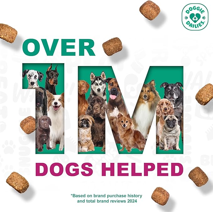 Doggie Dailies, Advanced Senior Hip and Joint Supplement for Dogs, Glucosamine Chondroitin, Premium Hip and Joint Chews for Dogs All Breeds & Sizes, Dog Vitamins and Supplements, (Duck) 120 Chews