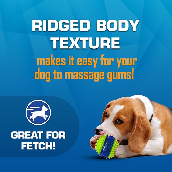 Nerf Dog Toy Gift Set, 3-Piece Set of Outdoor Dog Toys for Fetch, Includes Checker Crunch Ball, Spike LED Squeak Ball and Tire Squeak Football