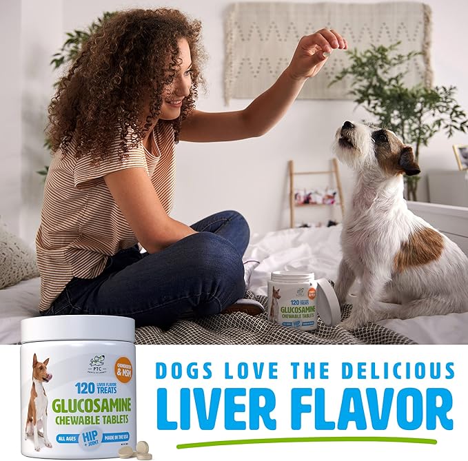 Glucosamine for Dogs with Chondroitin and MSM -Hip and Joint Supplement for Dog Mobility Support and Arthritis Pain Relief -120 Chewable Tablet Treats