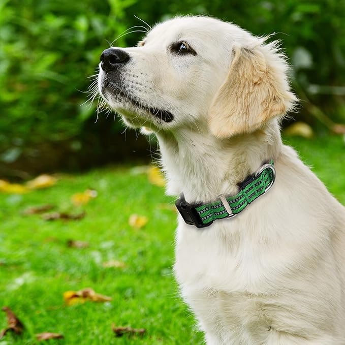 Hikiko Martingale Dog Collars Reflective Nylon Dog Collar with Quick Release Buckle Adjustable Training No Slip Dog Collar (Large, Green)