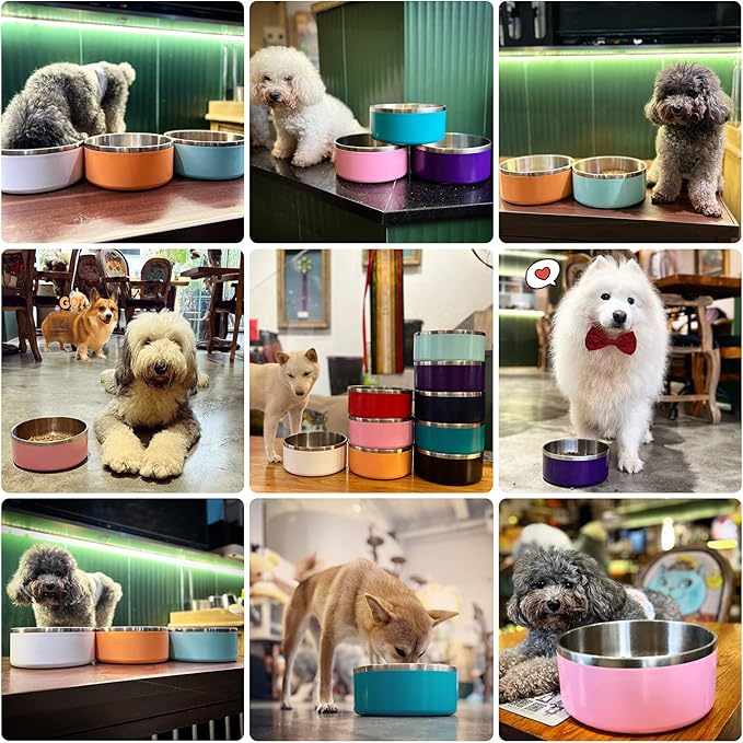 IKITCHEN Dog Bowl for Food and Water, 40 Oz Stainless Steel Pet Feeding Bowl, Durable Non-Skid Double Wall Insulated Heavy Duty with Rubber Bottom for Medium Large Dogs (40 Ounces/5 Cup, MintGreen)