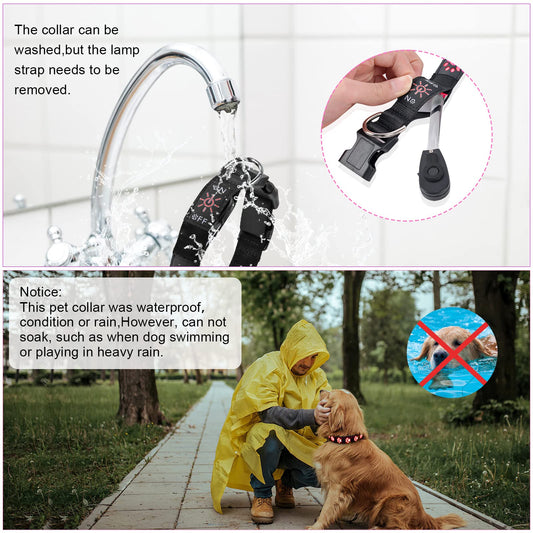 AUAUY Light Up Dog Collar, LED Dog Collar Light USB Rechargeable, Waterproof Flashing PVC Leather Adjustable Glowing Super Bright Dog Light Up Collar for The Dark for Small Medium Large Dogs (Pink-S)