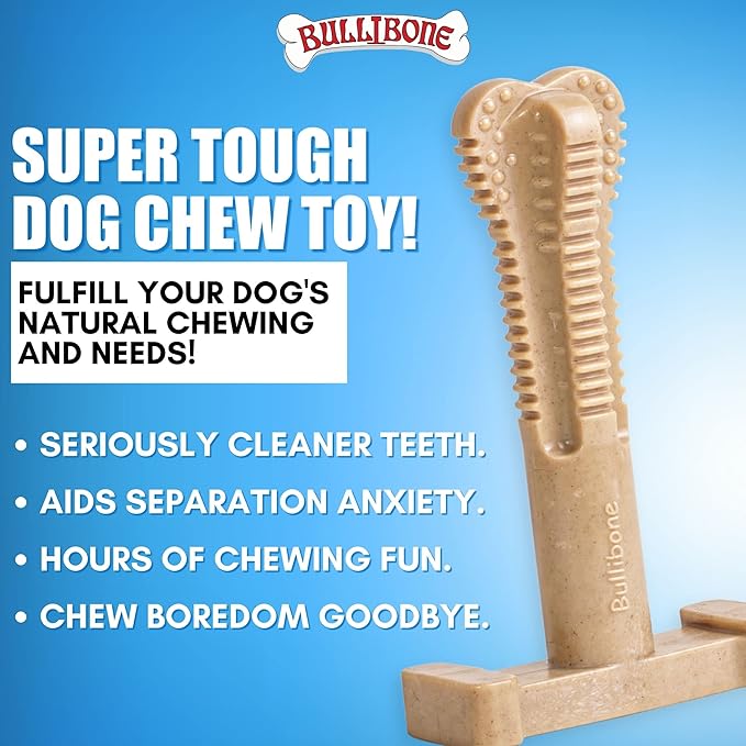 Bullibone SuperBrush: Dog Teeth Cleaning Brushing Toothbrush Stick - Long Lasting Nylon Apple Cinnamon Chew Toy for Oral Care and Dental Health