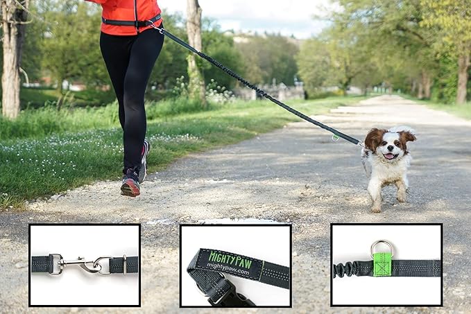 Mighty Paw Hands Free Dog Leash | Bungee Waist Leash for Dog Walking. Pet Running Hands Free Tether for Large, Medium & Small Breeds. Pet Waist Belt (36" - 48") Up to 150 lbs - Gray