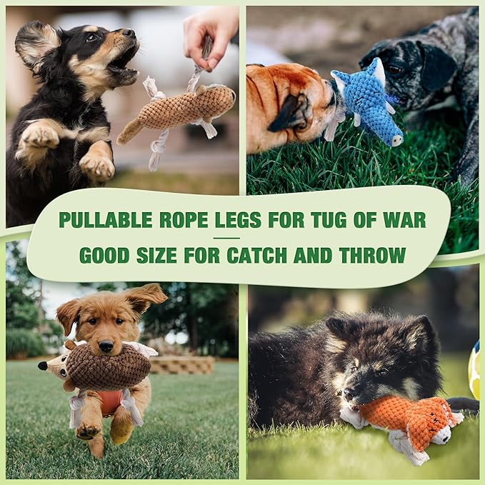 LEGEND SANDY Squeaky Dog Toys, Plush Small Dog Toys, 5 Pack Stuffed Animal Puppy Toys with Tug of War Ropes Value Bundle, Puppy Chew Toys for Teething, Dog Chew Toy for Small Medium Breeds