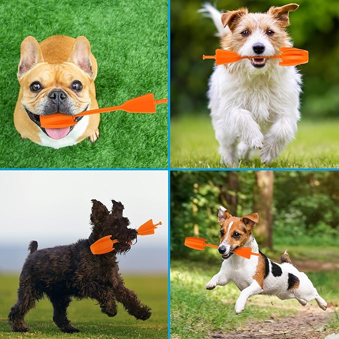 Funwares Ring Strike Fetch, Launcher for Dogs, Fetch Toy for Medium and Small Dogs