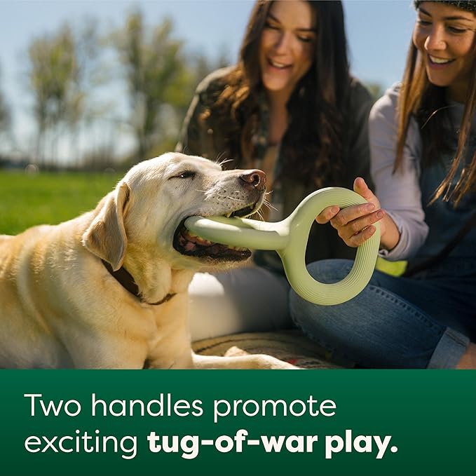 Earth Rated Tug of War Toy for Dogs and Puppies, Interactive Dog Pull Toys, Ergonomic Grip, Natural Rubber, Large, Green
