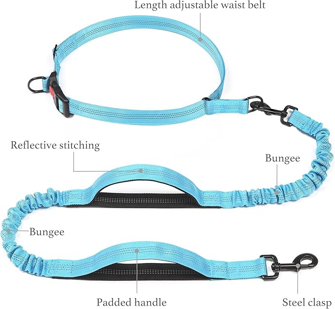iYoShop Retractable Hands Free Dog Leash - Dual Handle Bungee Waist Leash for Small, Medium and Large Dogs (Medium/Large, 25-150 lbs, Baby Blue)
