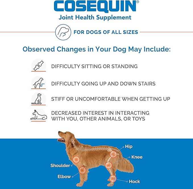 Nutramax Cosequin for Dogs Joint Health Supplement, Contains Glucosamine for Dogs, MSM, Supports Healthy Joints, Chewable Tablets, 75 Count