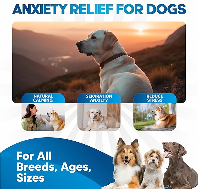 Dog Anxiety Relief - Faster Absorption Than Hemp Calming Chews for Dogs - Dog Calming Chews Alternative - Hemp Oil and Melatonin for Dogs - Liquid Dog Calming Treats for Thunder, Fireworks, Sleep Aid