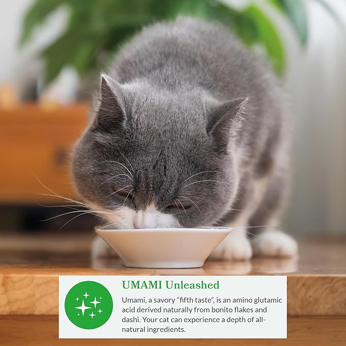 INABA Dashi Delights for Cats, 2.5 Ounce Cup, 6 Cups Total, Chicken with Tuna & Scallop Recipe