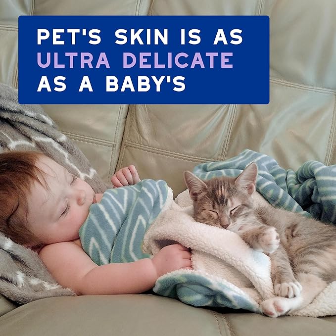 DOUXO® Skin & Coat SPA - Ultra-Safe Low-Stress Refresh Leave-on Mousse for Cats, 10 fl oz, Leaves The Coat Clean, Refreshed, Soft, Radiant and Smelling Great, Skin-Friendly Formula