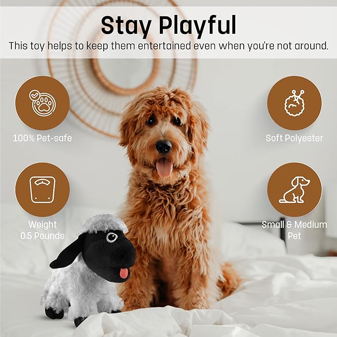 FGA Marketplace Black Sheep Plush Toy - Entertaining Plushy Lamb with 2 Squeakers, Suitable for Small to Medium-Sized Dogs - Made with Soft, Highly-Durable, & Pet-Safe Polyester Material