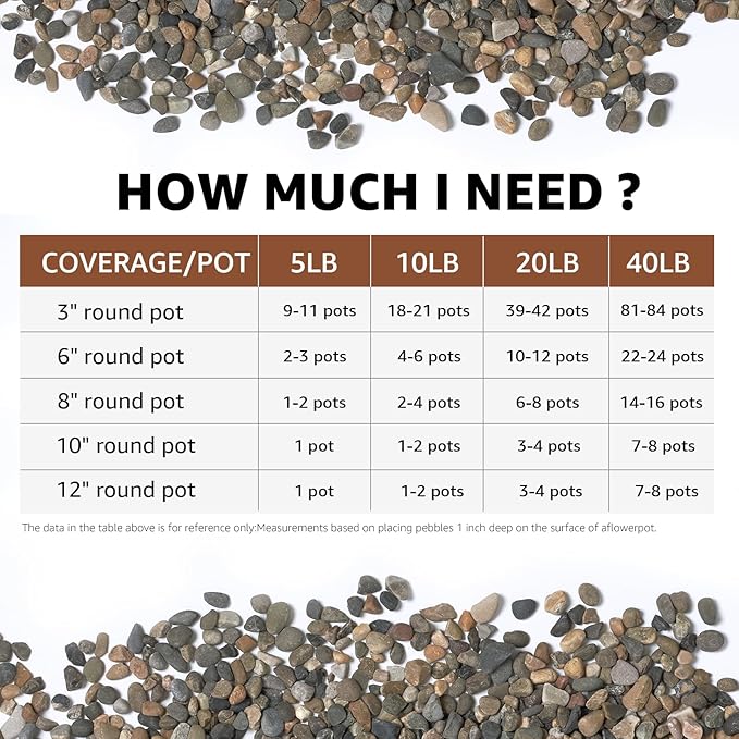 10LB Natural River Rocks, 1/4" Aquarium Gravel, Small Pebbles for Plants, Pea Gravel for Fish Tanks, Decorative Rocks for Gardening, Flower Pots, Vase Fillers, Indoor Fountains (10 LBS)