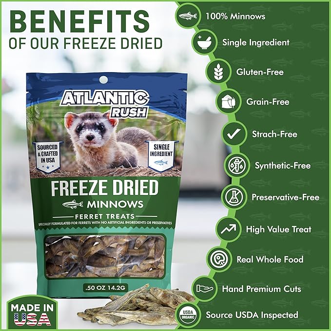 Freeze Dried Small Pet Treats - Resealable Bag of Treats for Ferrets - Ferret Snacks - Single Ingredient Ferret Food With No Preservatives Or Fillers- Small Animals Treats (.5oz, Minnow)