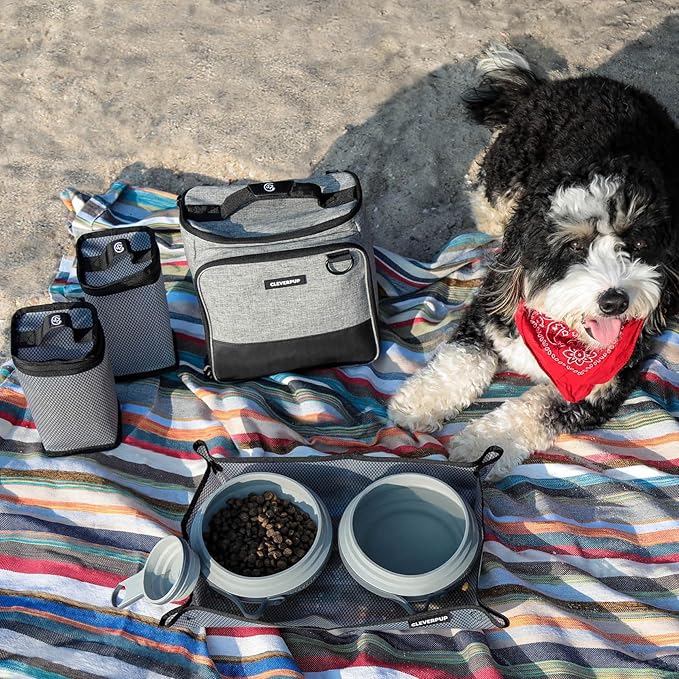 Large 7-Piece Bistro Box Dog Food Travel Kit, 12-Cup Kibble Storage, 2 Silicone Bowls, Mat & Scoop - Premium Portable Pet Food Kit for Weekends, Overnights, Daycare & Camping, Heather Grey