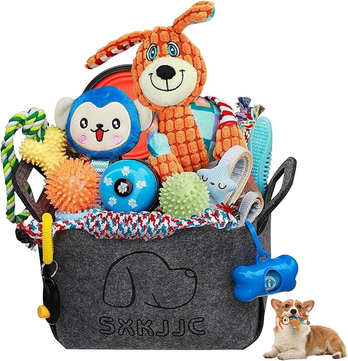 20PCS Puppy Teething and Squeaky Toys, Rope and Interactive Dog Toys to Keep Them Busy, Chew Toys for Puppies and Small Dogs, Pet Toy Basket Full of Fun