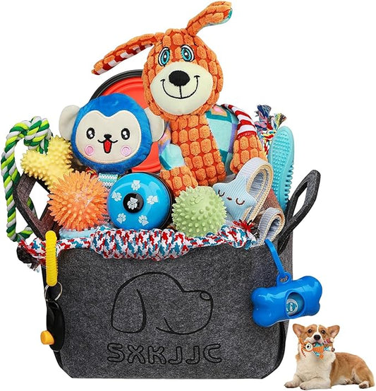 20PCS Puppy Teething and Squeaky Toys, Rope and Interactive Dog Toys to Keep Them Busy, Chew Toys for Puppies and Small Dogs, Pet Toy Basket Full of Fun