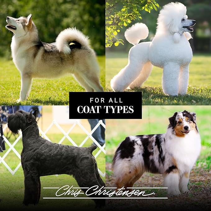 Chris Christensen Dog Brush, 20 mm Oval, Wood Pin Series, Groom Like a Professional, Real Wood Pins, 100% Static-Free, Redistribute Natural Oils into Coat, Reduces Painful Pulling, Small