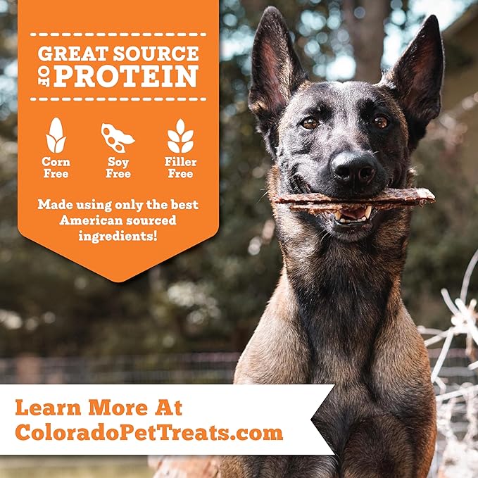 Fresh Field Chicken & Carrot Jerky Chips, 5 oz – All-Natural Dog Treats, USA Made, No Fillers, Supports Health