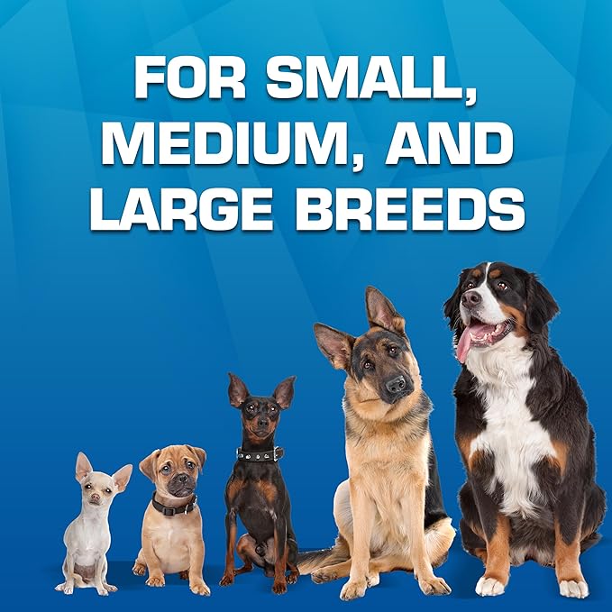 Nerf Dog Toy Gift Set, 3-Piece Set of Outdoor Dog Toys for Tug and Fetch, Includes Spike Squeak Ball, Treat Tug Bone and Exo Squeak Football