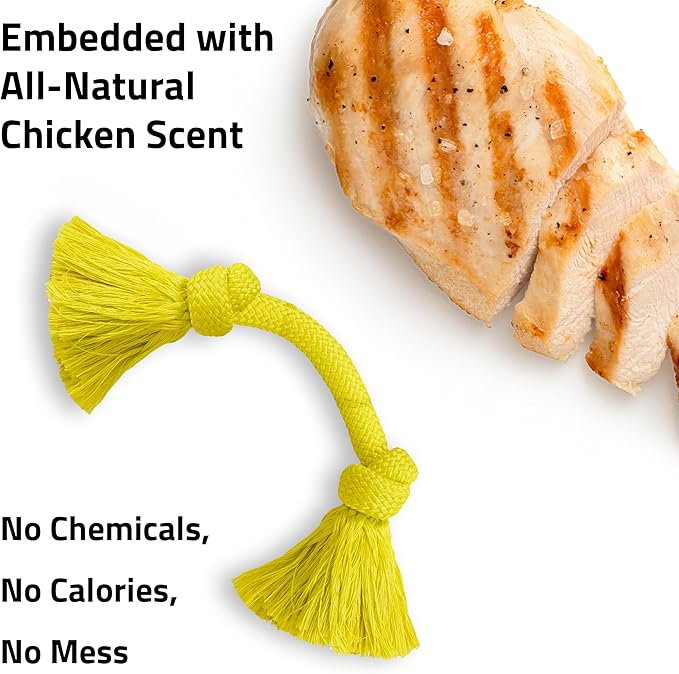 Playology Rope Toys for Dogs | Tug of War Dog Toy for Aggressive Chewers | Chicken Scented Dog Toys | Medium Rope Toy for Interactive Play