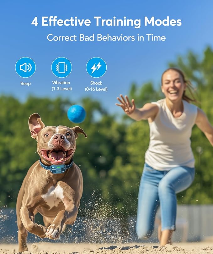 Jugbow Dog Training Collar with Remote, 4200FT Rechargeable E Collar for Small Medium Large Dogs 5-120lbs, IPX8 Waterproof Electric Collar with 4 Training Modes, Security Lock