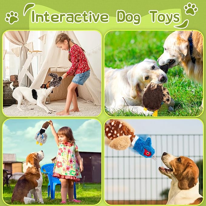 Dog Squeaky Toy Set – 3-Pack Durable Plush Chicken, Pheasant, Goose for Small and Medium Dogs – Soft Bird Chew Toys with Crinkle Sound for Puppy Play, Interactive Training