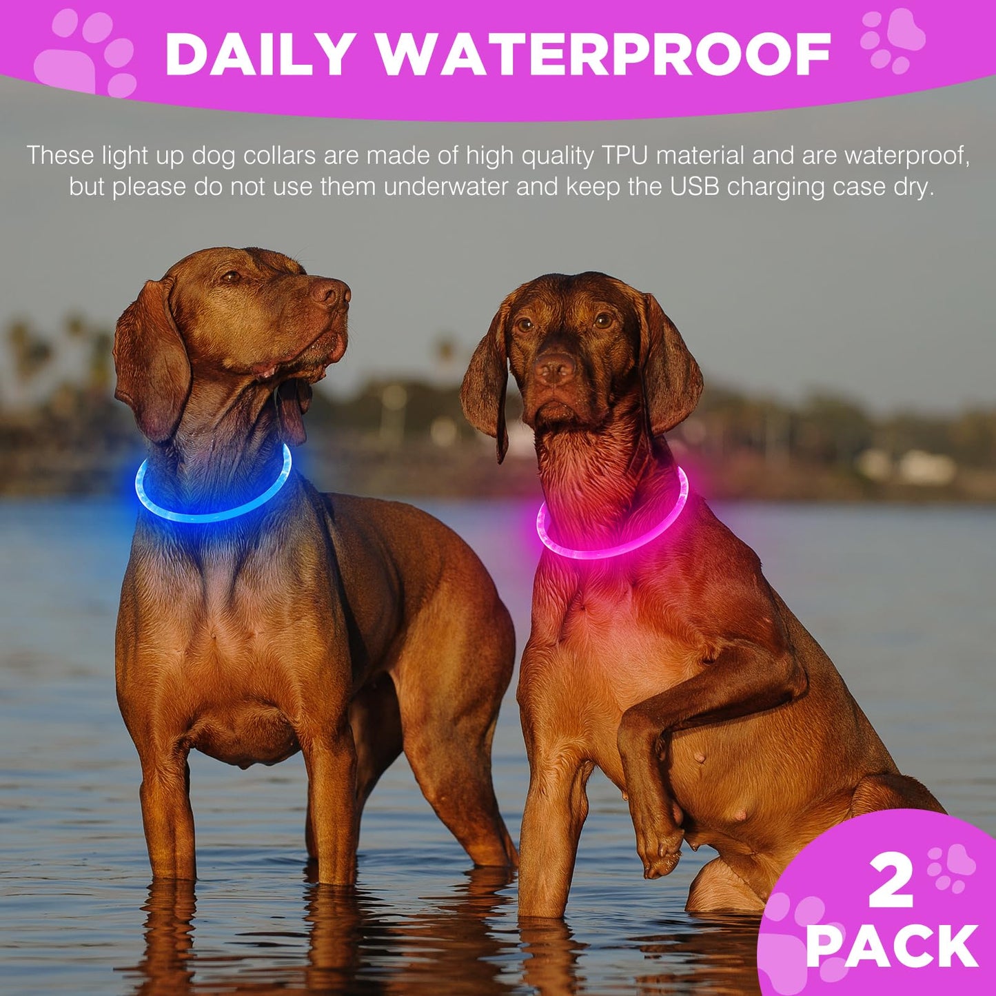 2 Pack Light Up Dog Collar, USB Rechargeable Dog Collar Light for Night Walking, Led Lighted Dog Collar, Glow in The Dark Dog Collar for Small Medium Large Dogs (Pink+Blue)