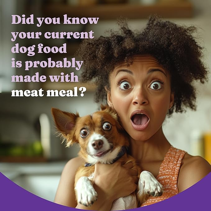 Halo Holistic Dog Food Wild Caught Salmon & Whitefish Formula, Healthy Grains Dry Dog Food, Complete Digestive Health, Kibble for Adult Dogs, 3.5 lb Bag