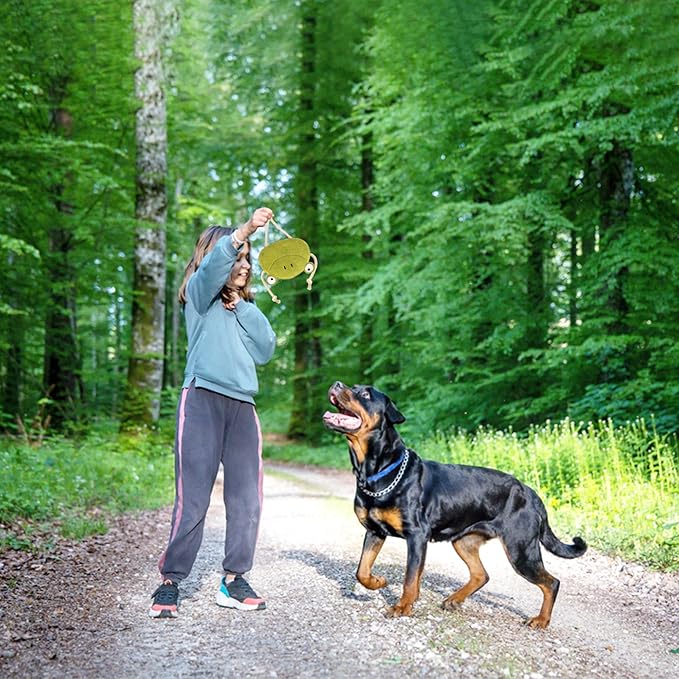 Eco Leather Lily Frog Natural and Tough Dog Toys - Dog Toy for Dogs and Puppy