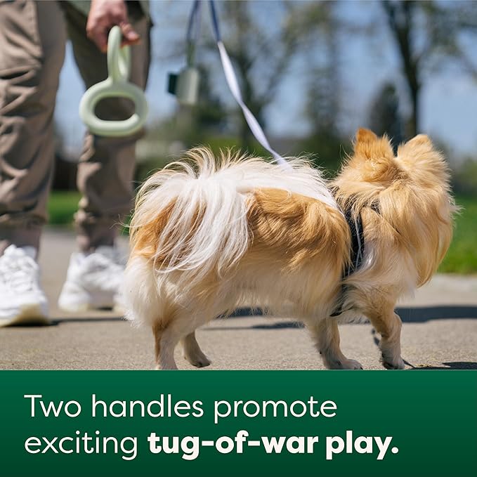 Earth Rated Tug of War Toy for Dogs and Puppies, Interactive Dog Pull Toys, Ergonomic Grip, Natural Rubber, Small, Green