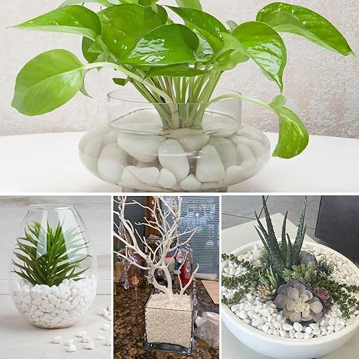 11 Lbs Natural River Rocks for Plants 0.6-0.8 inches Small White Landscaping Garden Stones White Aquarium Gravel Decorative Pebbles for Indoor Outdoor Planters Home Decor