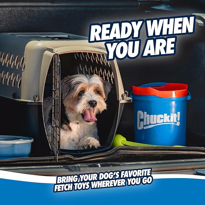 Chuckit! Ultra Ball Dog Toy with Chuckit! Cleaning Bucket Bundle, Bouncy Fetch Pet Toys For Dogs 20-60 lbs, Interactive Dog Toys, Durable Rubber, Size Medium, 2.5-inch Diameter, 8-Pack of Balls