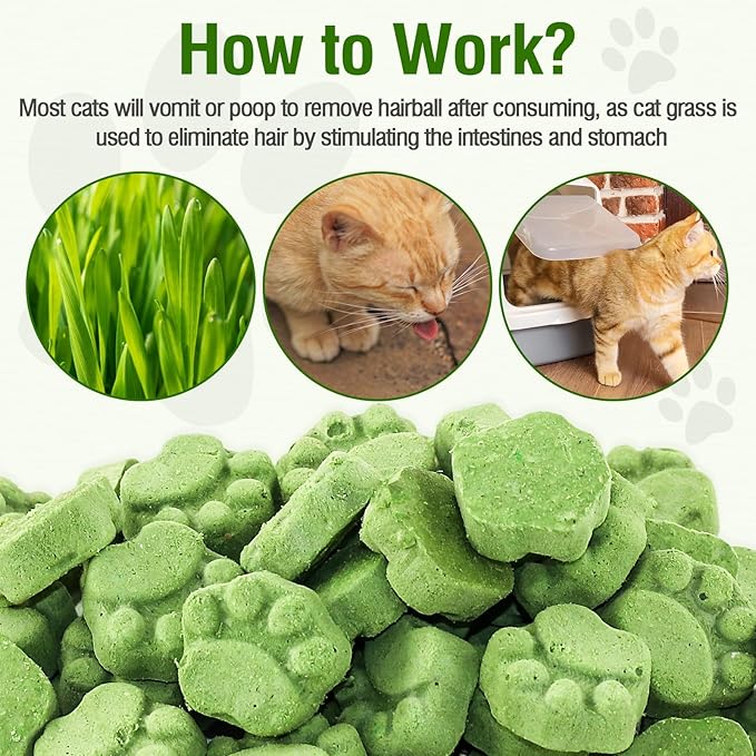 Freezed Drying Cat Grass Treats, Cat Grass Teething Sticks Cats Snacks for Hairball Removal and Dental Care