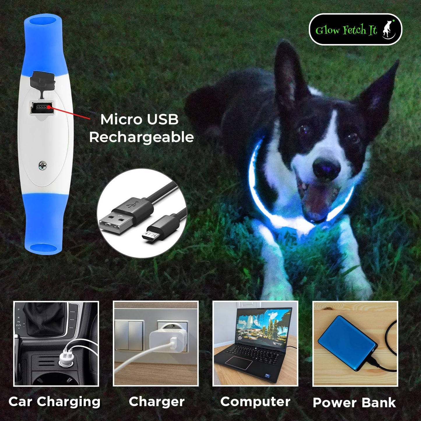 LED Dog Collar, Waterproof Light Up Dog Collar Rechargeable, Dog Safety Necklace for Night Walking, Adjustable Cut-to-Fit Silicone Collar Small Medium Large Dog 27.5” Cuttable (Blue)