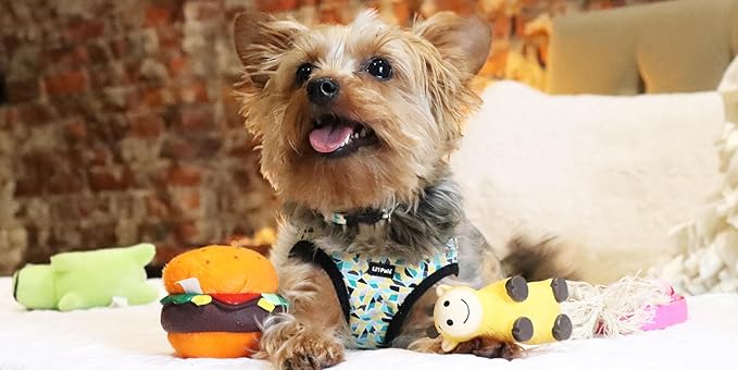 Coastal Pet Li'l Pals Dog Slicker Brush with Coated Tips - Dog Grooming Brush for Small Breeds & Puppies - One Size