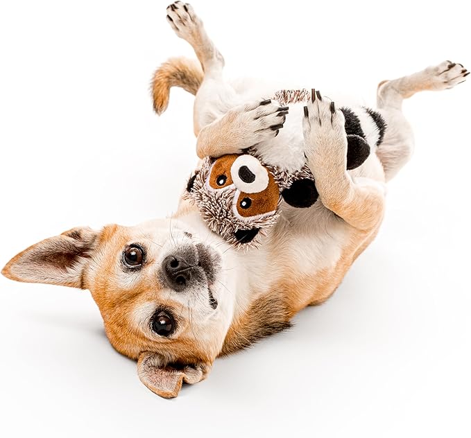 Playology Plush Dog Toy Bundle | Stuffed & Scented Toys for Small Dogs | Peanut Butter Squirrel & Sweet Potato Raccoon Value 2-Pack