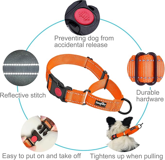 haapaw 2 Packs Martingale Dog Collar with Quick Release Buckle Reflective Dog Training Collars for Small Medium Large Dogs