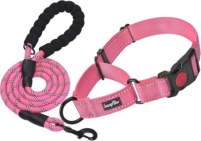 haapaw 2 Packs Martingale Dog Collar with Quick Release Buckle Reflective Dog Training Collars for Small Medium Large Dogs